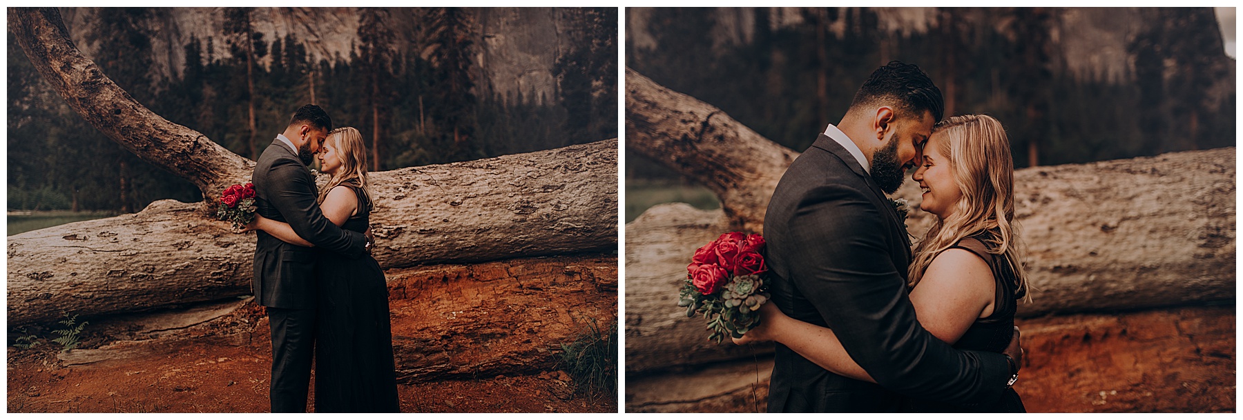 Sadie and Kiran’s Yosemite Park Engagement -Juju Photography