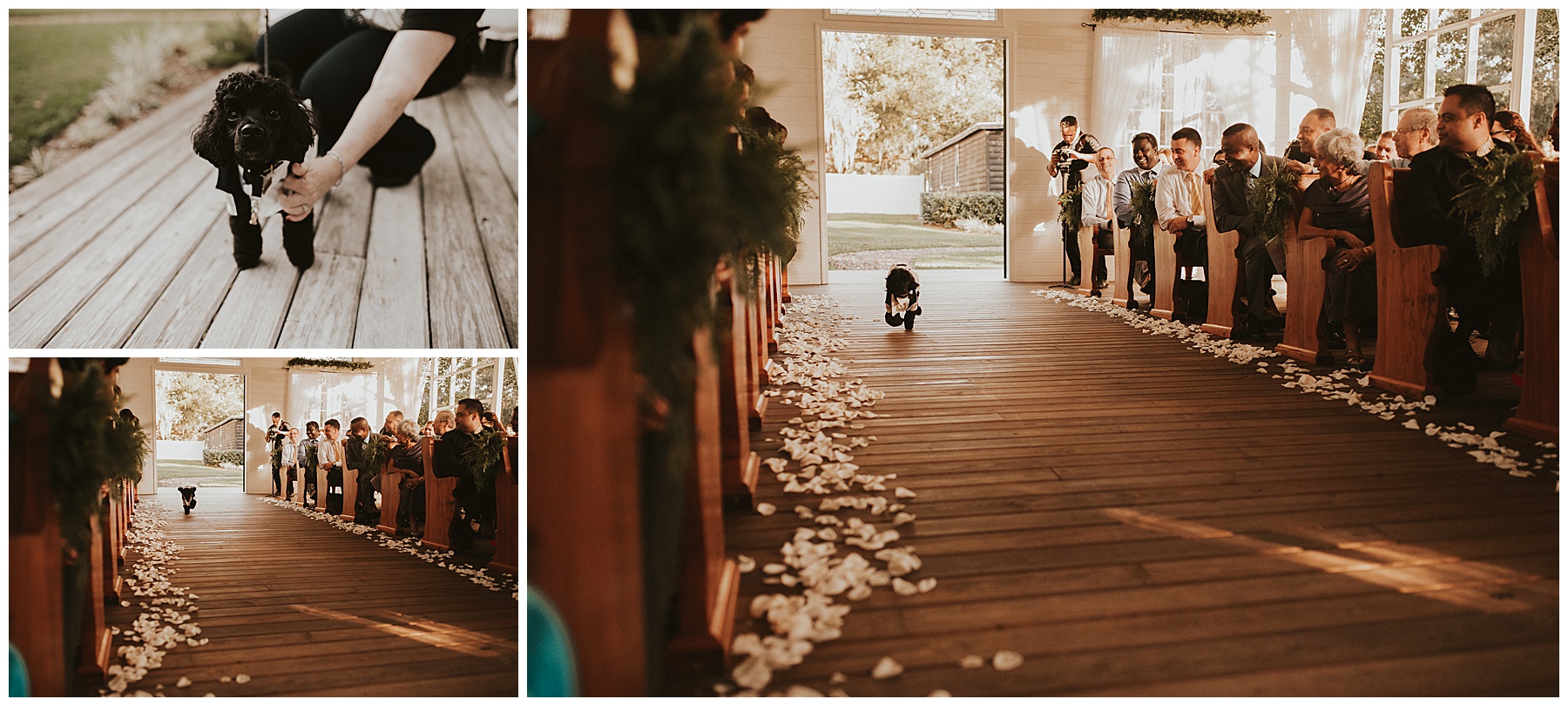 Dog ring bearer - Photographed by Juju Photography - Destination wedding photographer